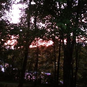 Meet your Posher, Peggy